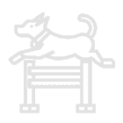 pas, dog, orthovet, bihac, veterinarska stanica, klinika, ortopedija, ortopediju